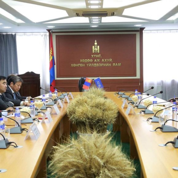 Малчдад чиглэсэн төсөл хөтөлбөрөө үргэлжүүлнэ